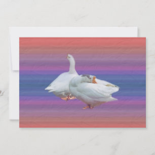 birthday party invitation