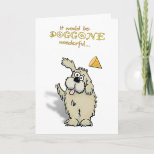 Birthday Party Invitation! Invitation