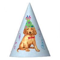 Birthday Party Irish Setter