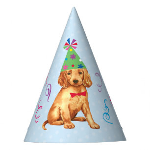 Birthday Party Irish Setter Hat