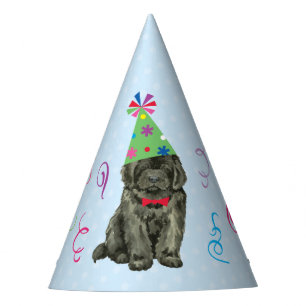 Birthday Party Newfoundland Party Hat