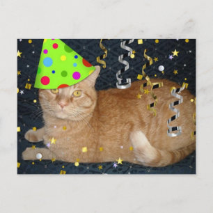 Birthday Party Orange Tabby Cat Postcard