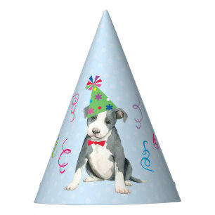 Birthday Party Pit Bull Terrier Hat