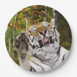 Birthday Party Plate