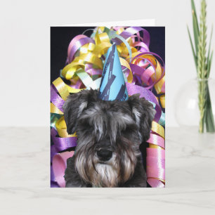 Birthday Party Schnauzer with Ribbon Behind Card