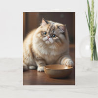 Birthday Persian Cat Humour