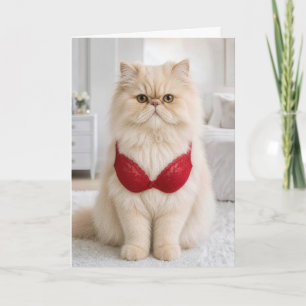 Birthday Persian Cat Wearing a Red Bra Card