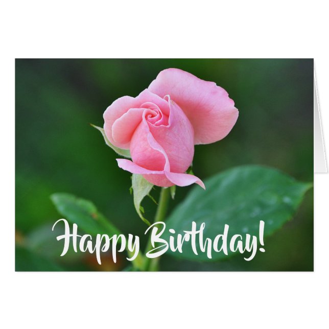 Birthday Pink Rose Card (Front Horizontal)