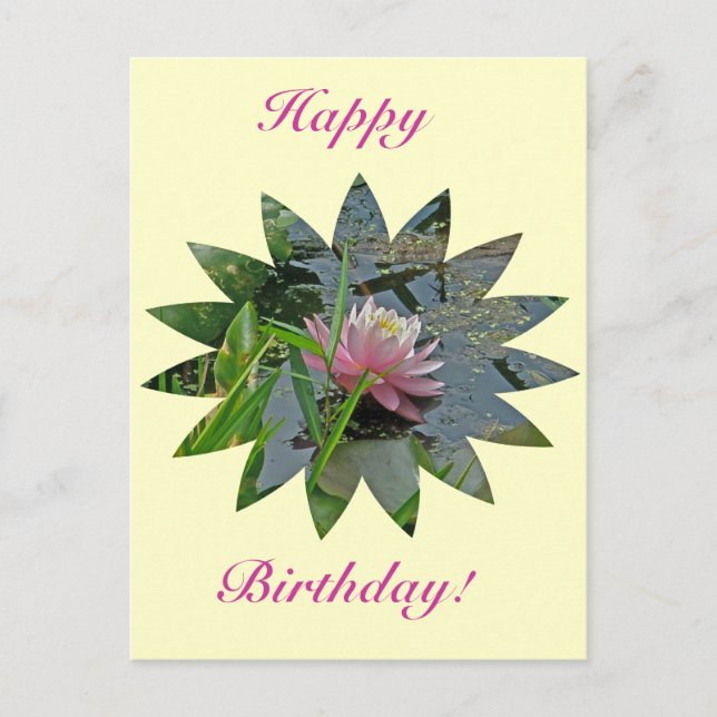 Birthday Pink Water Lily Postcard (Front)