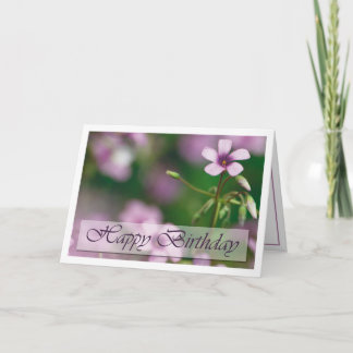Birthday - Pink Wood Sorrel Greeting Card
