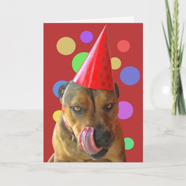 Birthday Pit Bull Cute Dog with Party Hat Kisses Card (Front)