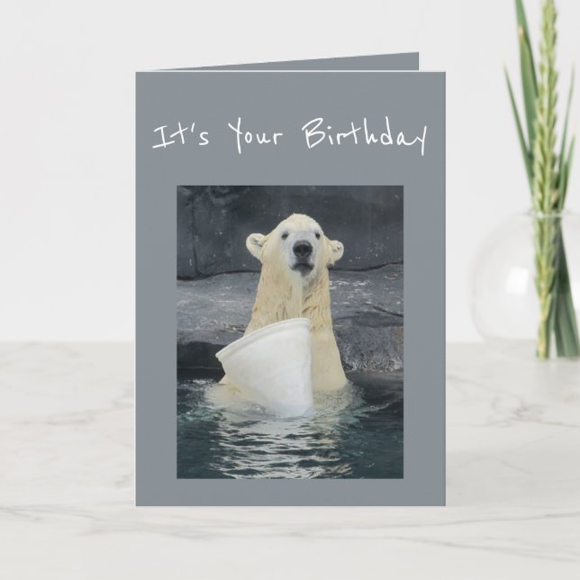 Birthday Polar Bear Bucket of Fun Humor Card (Front)
