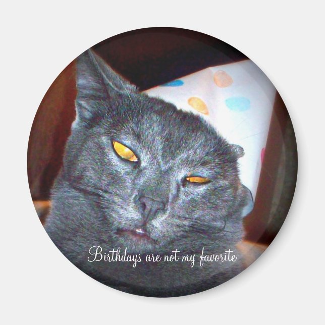 Birthday Pooper Magnet (Front)