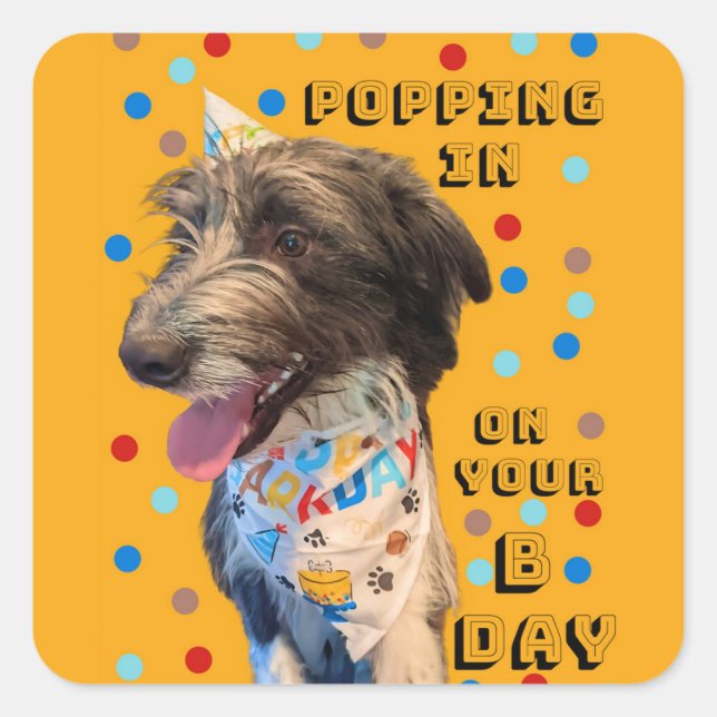 Birthday Pop In Puppy Sticker (Front)