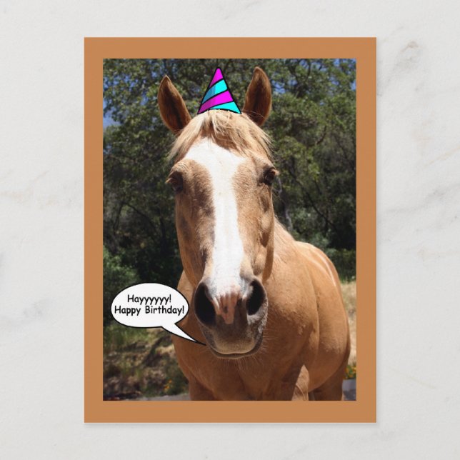 Birthday Postcard - Bess the Horse (Front)