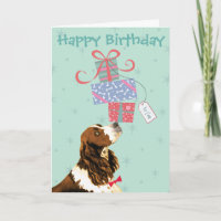 Birthday Presents English Springer Spaniel