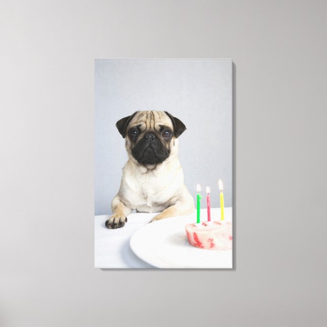 Birthday Pug Canvas Print (Front)