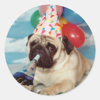 Birthday Pug Stickers