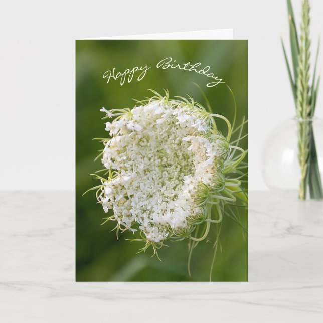 birthday-Queen Anne's Lace macro Card (Front)