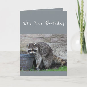 Birthday Racoon Bucket of Fun Humour Card