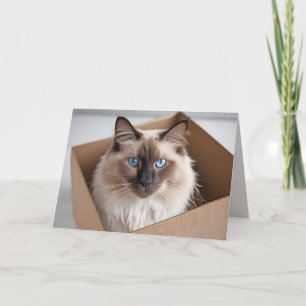 Birthday Ragdoll Cat In Cardboard Box Card