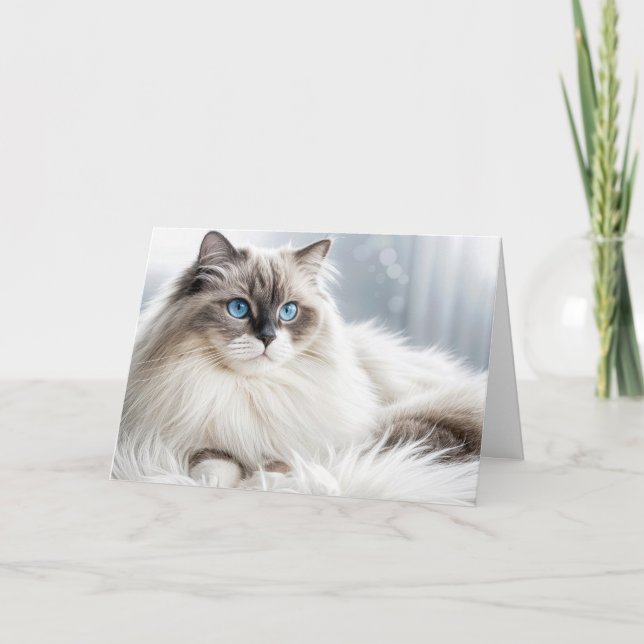 Birthday Ragdoll Cat On a Fur Rug Card (Front)