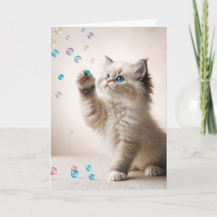 Birthday Ragdoll Kitten Playing With Bubbles Card