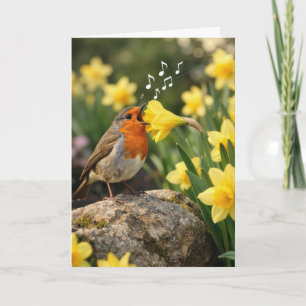 Birthday Robin Singing into a Spring Daffodil Card