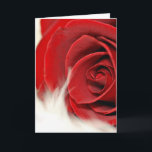 Birthday Rose On Fur for Wife Card<br><div class="desc">Extreme close up of a red rose on white fur for wife or lover's birthday.</div>
