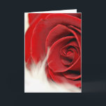 Birthday Rose On Fur for Wife Card<br><div class="desc">Extreme close up of a red rose on white fur for wife or lover's birthday.</div>