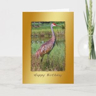 Birthday, Sandhill Crane Bird Card