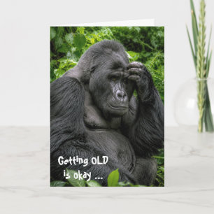 Birthday Silverback Gorilla Deep In Thought Card