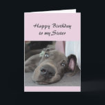 Birthday Sister Fun Dog definition of Relax Humor Card<br><div class="desc">Happy Birthday Sister  definition of Relax Humor Greeting with cute relaxing Great Dane Dog</div>