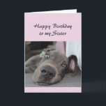 Birthday Sister Fun Dog definition of Relax Humor Card<br><div class="desc">Happy Birthday Sister  definition of Relax Humor Greeting with cute relaxing Great Dane Dog</div>