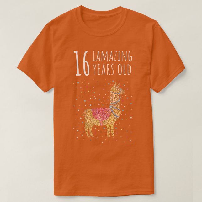 Birthday Sixteen 16 Llama Alpaca T-Shirt (Design Front)