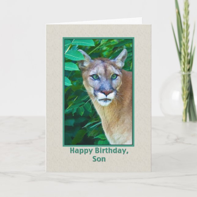 Birthday, Son, Cougar in the Jungle Card (Front)