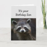 Birthday  Son Fun Age Humour Sad Racoon Humour Car Card<br><div class="desc">Birthday Blahs for your  Son Fun Age Just because you've had a lot of them.  Humourous depressed Racoon Animal art</div>