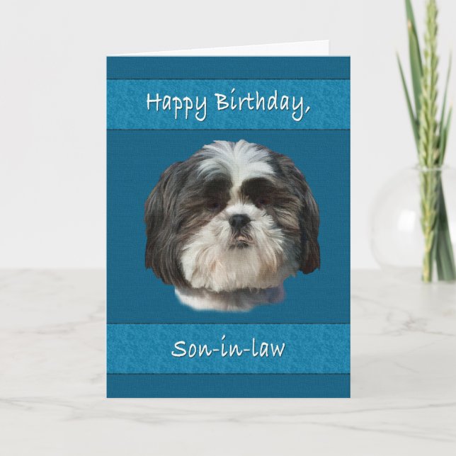 Birthday,  Son-in-law, Shih Tzu Dog Card (Front)