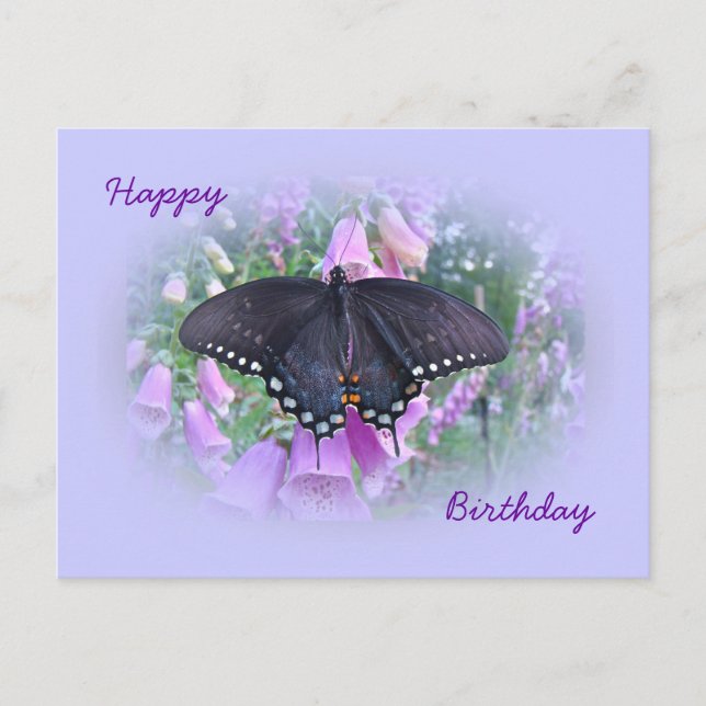 Birthday Spicebush Swallowtail Butterfly Postcard (Front)