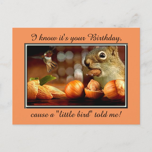 Birthday Squirrel Postcard (Front)