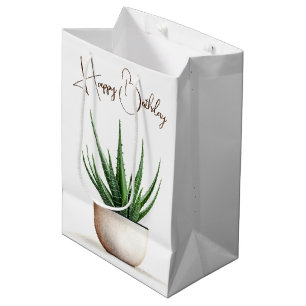 Birthday Succulent Plant In Pot Medium Gift Bag