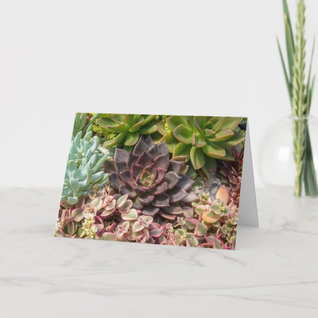 birthday succulent plants card (Front)
