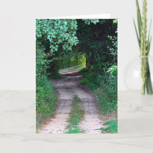 Birthday Sunbeams On a Forest Path Card