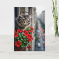 Birthday Tabby Cat In Apartment Window