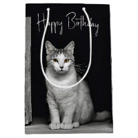 Birthday Tabby Cat In Doorway 