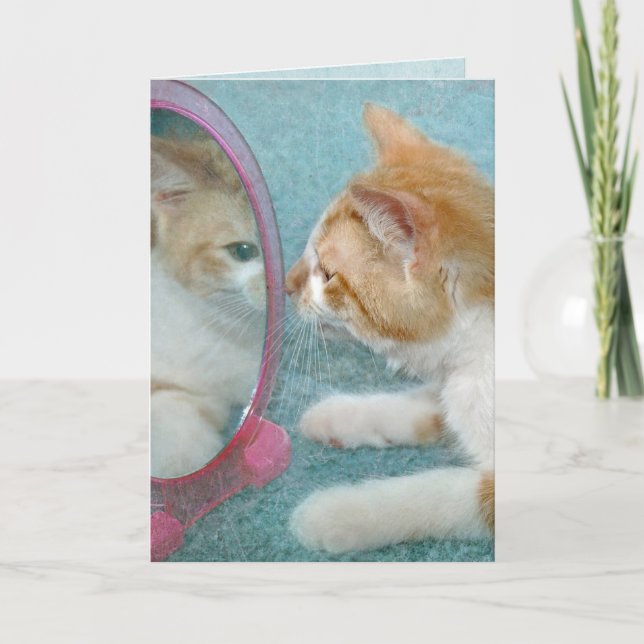 Birthday Tabby Cat in Mirror Card (Front)