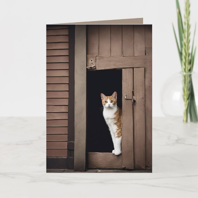 Birthday Tabby Cat in Shed Doorway Card (Front)