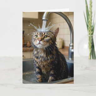 Birthday Tabby Cat Under a Kitchen Faucet Card