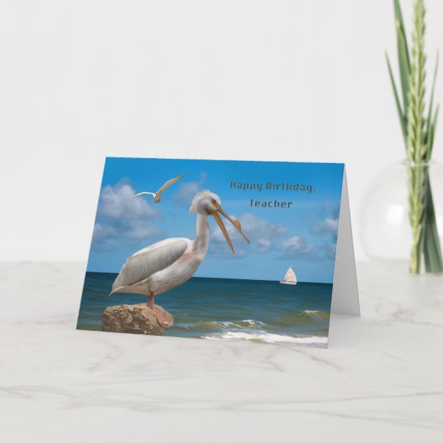 Birthday, Teacher, White Pelican on a Rock Card (Front)