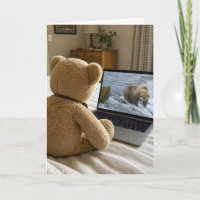 Birthday Teddy Bear Watching Grizzly on Laptop